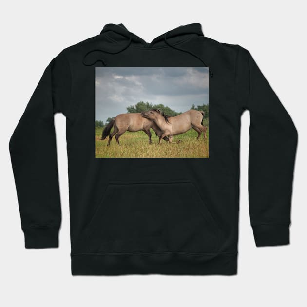 Encore une danse Hoodie by hton